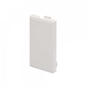RT Blank Plate (25mmx50mm) White